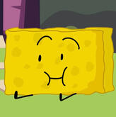 Spongy (BFDI)